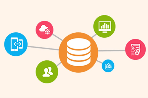 API Integration